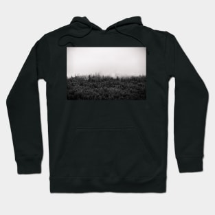 Foggy Mountain Forest Black and White Hoodie